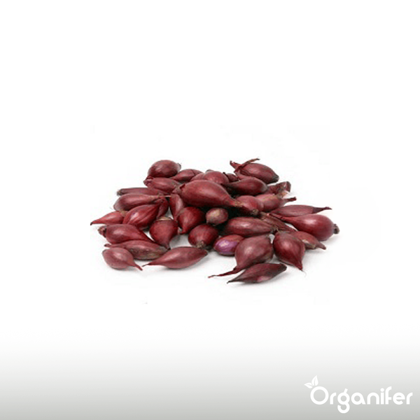 Quadratisches Kissen für Dekoration und Komfort