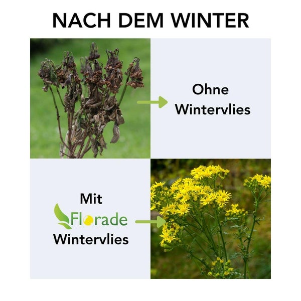 Wintervlies Florade 3,2 m x 20 m Polypropylen (PP) Weiß 50 g/m² inkl. atmungsaktiv und UV-stabilisiert