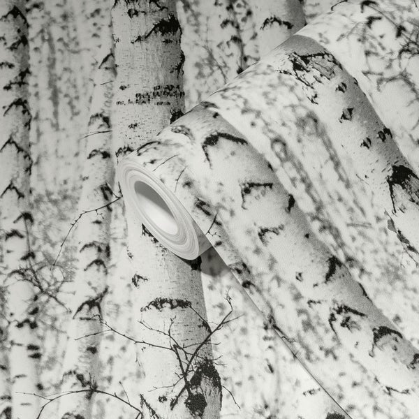 Tapete mit Birkenwald-Motiv