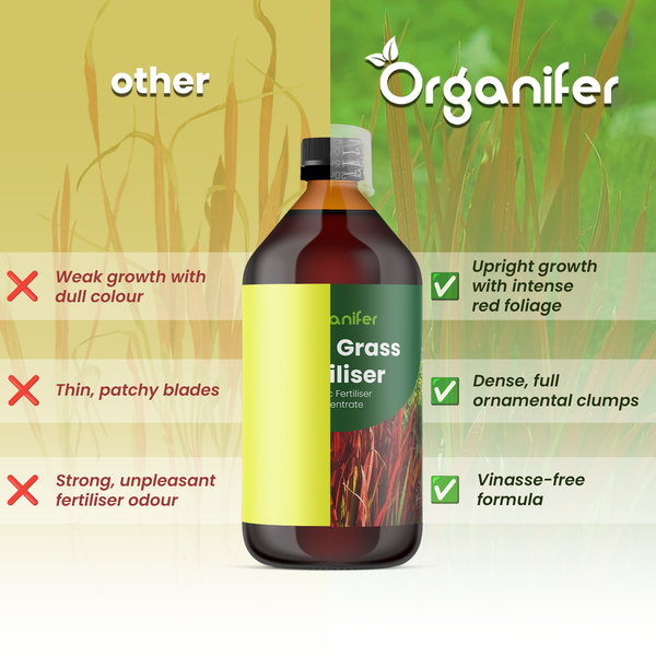 Organifer Logo. Vergleich Ziergrasdünger: Aufrechter Wuchs, dichte Horste und vinassefreie Rezeptur ohne unangenehmen Geruch.