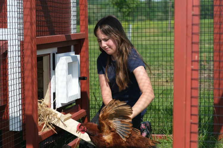 Hühnerauslauf XL EZ Chicken Home Rot 408 x 300 x 154cm Hergestellt in EU