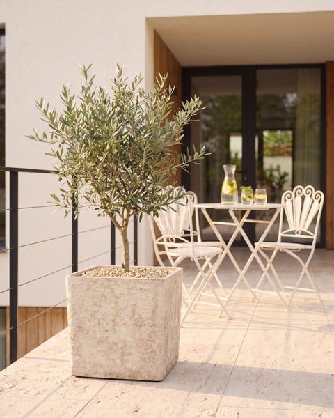 Olivenbaum in einem quadratischen Pflanzkübel aus Stein auf einer hellen Terrasse mit weißen Gartenmöbeln.