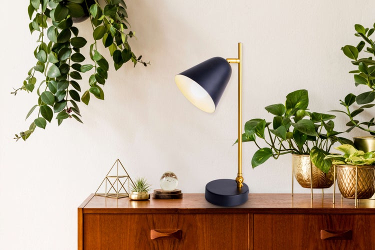 Dekoratives Interieur mit Tischleuchte, Zimmerpflanzen und Holzkommode für ein gemütliches Ambiente.