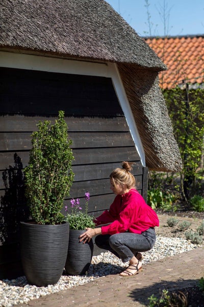 Eine Frau im Garten neben zwei großen, strukturierten Pflanzkübeln mit einer Grünpflanze und lila Blumen vor einer dunklen Holzwand.