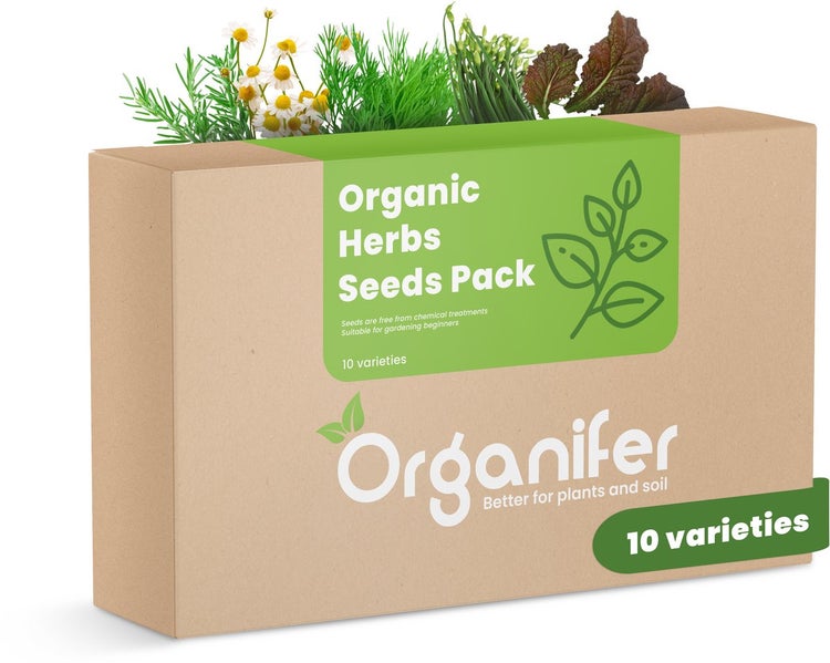 Biologisches Kräutersaatgutpaket – 10 Arten - Organifer