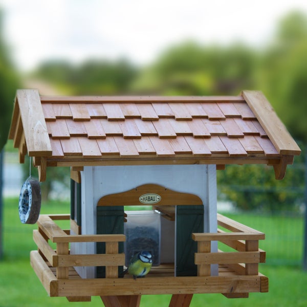 Vogelhaus aus Holz mit Futter und einer Blaumeise