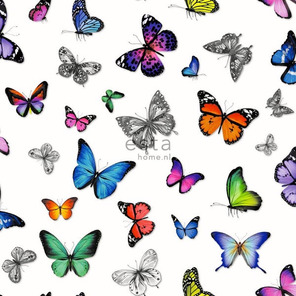 Tapete mit bunten Schmetterlingen