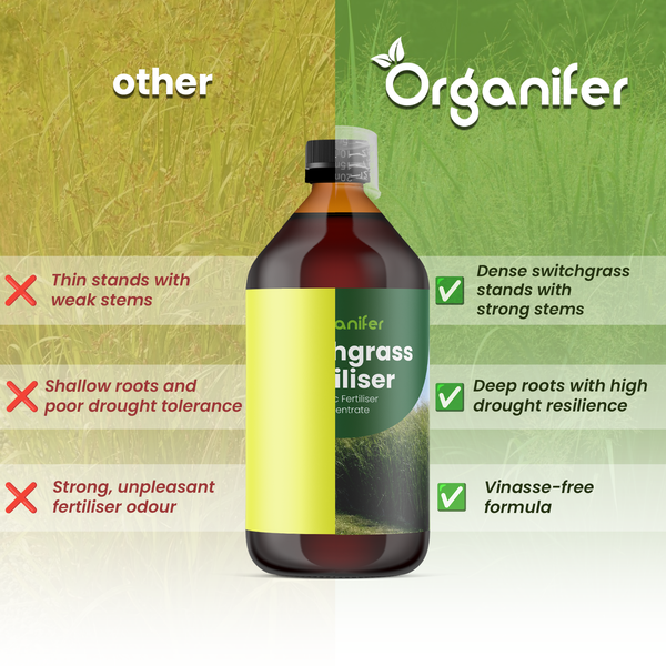 Organifer Logo. Vergleich von Rutenhirse-Dünger mit anderen Produkten. Vorteile sind dichter Wuchs, tiefe Wurzeln und vinassefreie Rezeptur.