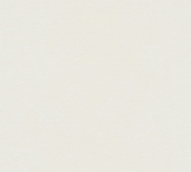 Blick auf eine Gruppe von Gartenpflanzen mit gemusterten Blättern