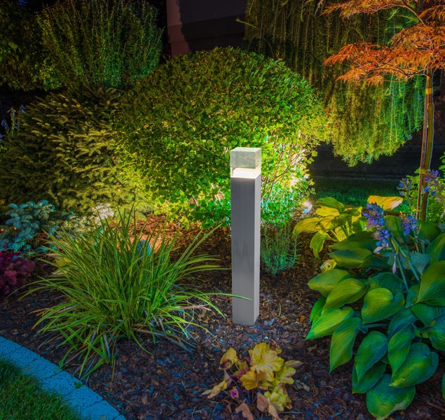 Garten mit Pflanzen und einer Wegeleuchte