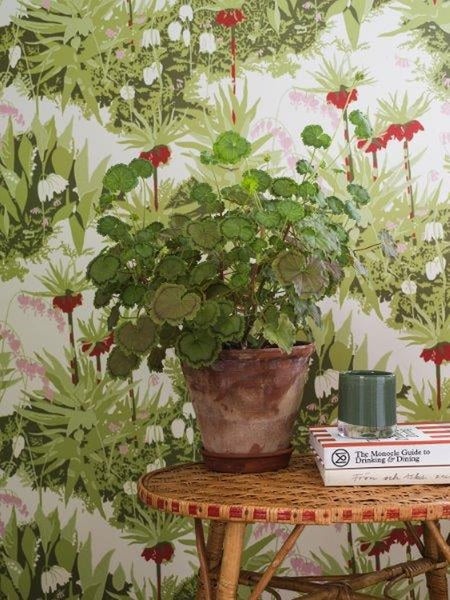 Mehrfachansicht eines Textilreinigungsgerätes von Stahlwerk zur Reinigung von Autositzen.