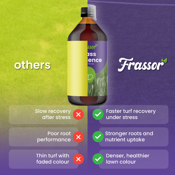 Nahaufnahme einer dichten Rasenfläche mit Frassor Logo.