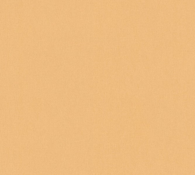 Regal mit Pflanze, Zitrone, Notizblöcken und Foto an der Wand