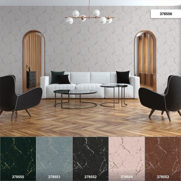 Drachenbaum im Topf für den Innenbereich