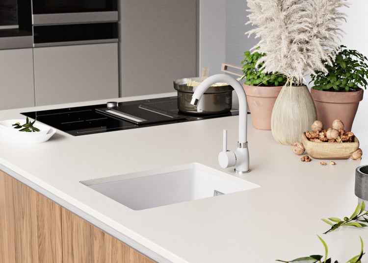 Küchenszene mit Spüle, Armatur, Kochfeld und dekorativen Elementen auf einer Arbeitsplatte.