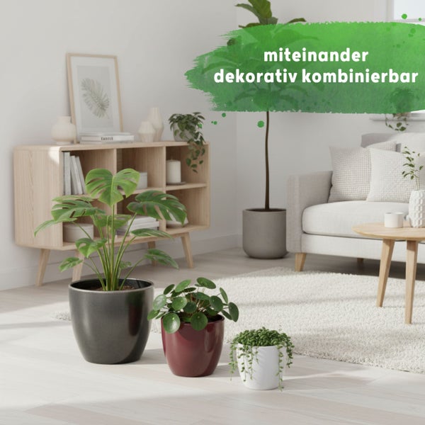 Zimmerpflanzen in verschiedenen Töpfen in einem hellen Wohnzimmer mit Sofa und Sideboard. Text miteinander dekorativ kombinierbar.