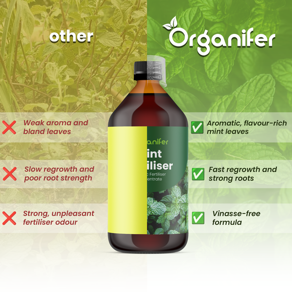 Minzblätter mit Organifer Logo.