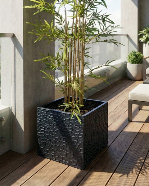 Bambus im Pflanzgefäß auf einer Terrasse