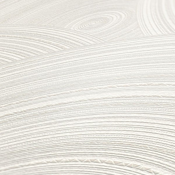 Im Bild ist eine Heckenpflanze im Topf zu sehen.