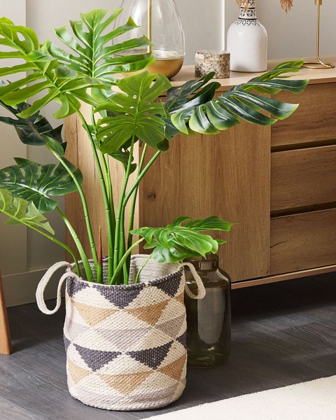 Dekorative Zimmerpflanze Monstera in einem gemusterten Korb im Innenbereich