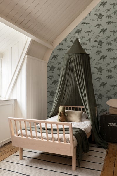 Illustration verschiedener Dinosaurierarten