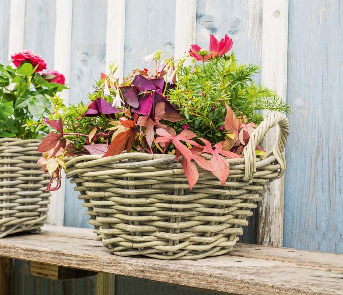 Dekoleidenschaft Pflanzschale Koboo Grey Ø 43x18 cm groß, aus Rattan, rund, grau, Pflanzkorb, Blumentopf,  Pflanztopf für Draußen, Blumenkübel