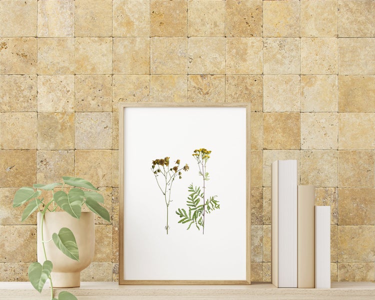 Wohnrausch Travertin Mosaikfliesen GOLD 10 x 10 x 1 cm, getrommelt, gelb, beige