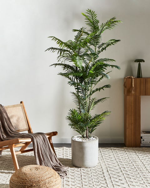 Künstliche Arekapalme mit grünen Blättern.