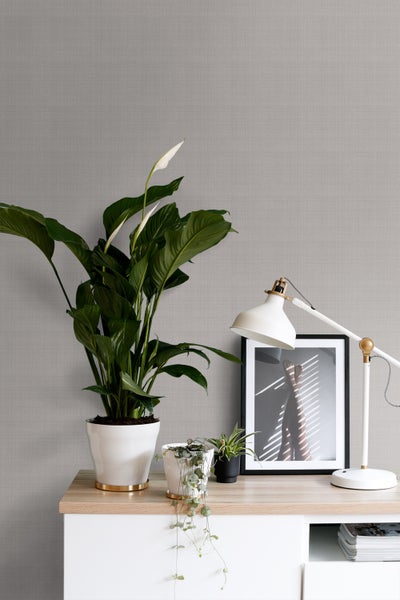 Heller Raum mit grauer Tapete, Zimmerpflanzen, Bild und Tischleuchte auf einem Sideboard