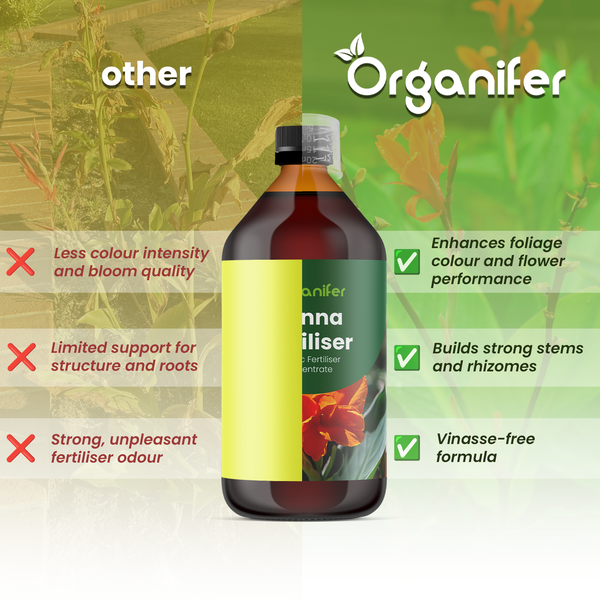Vergleich von Organifer Canna Dünger mit anderen Marken. Vorteile: bessere Blattfarbe, kräftige Stiele und Rhizome, vinassefreie Formel.
