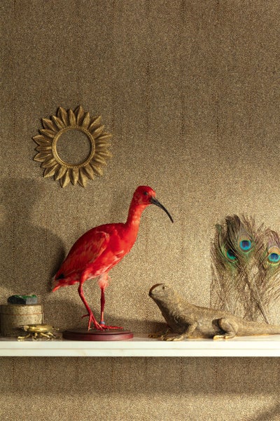 Eine Familie spielt auf dem Rasen neben einer Packung Natureflow Garten Algenkalk.