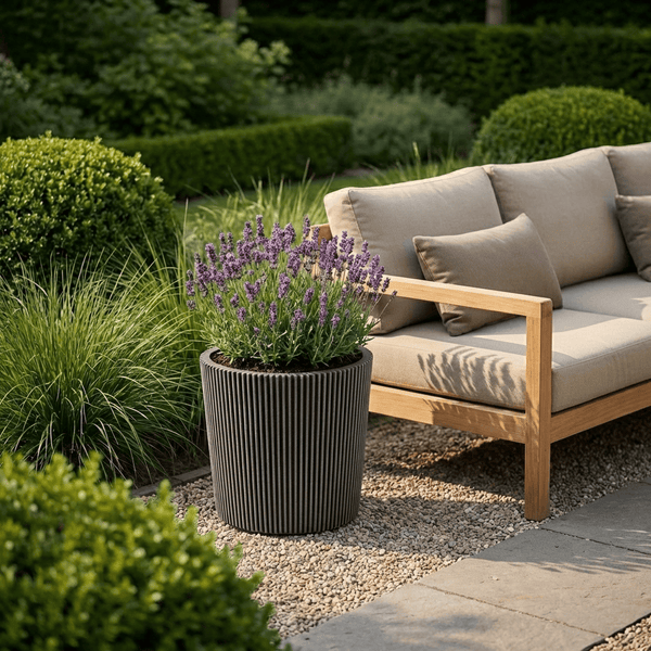 Gerippter grauer Pflanzkübel mit blühendem Lavendel neben einem Gartensofa aus Holz auf Kies in einem gepflegten Garten.