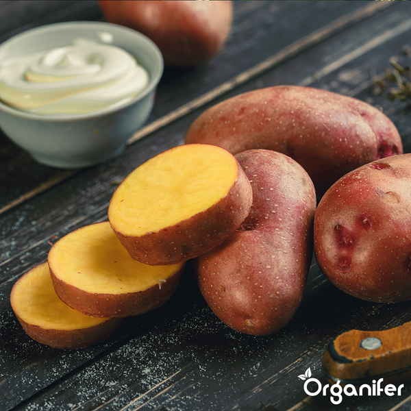 Metallischer Keil mit geometrischem Muster