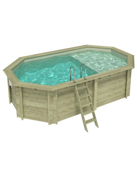 Holzpool mit Leiter und Wasser