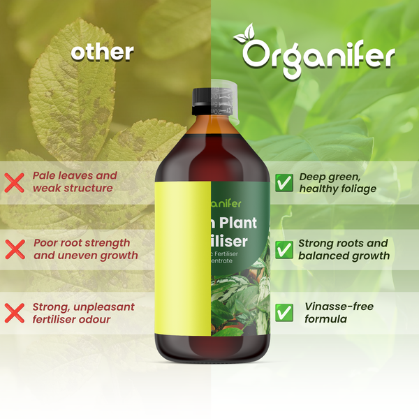 Organifer Logo und Vergleich von flüssigem Pflanzendünger mit anderen Produkten, Vorteile für gesundes Blattgrün, starke Wurzeln und ohne Vinasse.