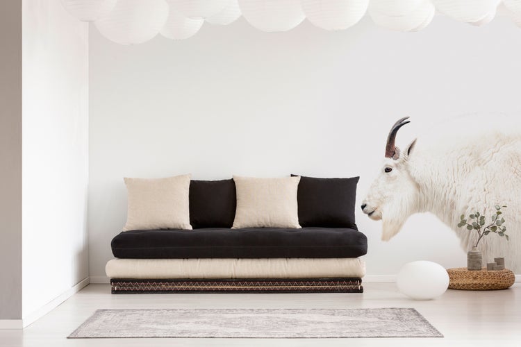 Modernes Wohnzimmer mit einer Fototapete einer Bergziege, einem Sofa aus gestapelten Kissen und runden Papierlampen an der Decke.