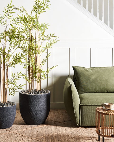 Raumansicht mit Bambuspflanzen in Pflanzgefäßen, Sofa und Beistelltisch.