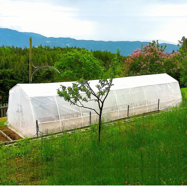 Gewächshaus im Garten mit Blick auf Berge