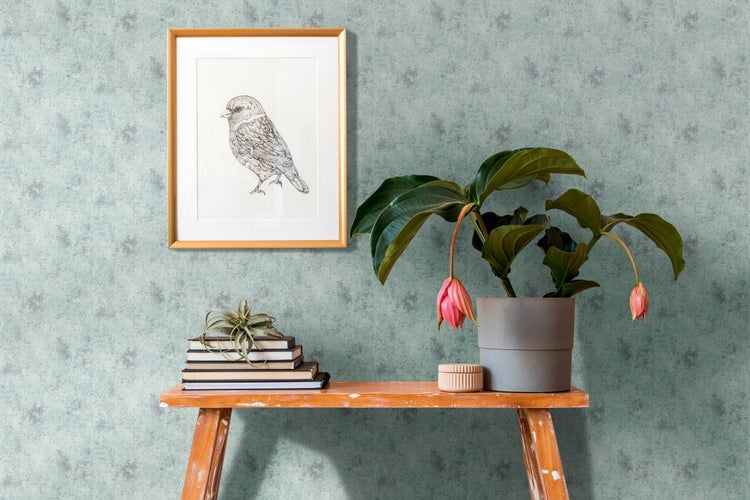 Garten mit Thuja-Pflanze vor Steinmauer