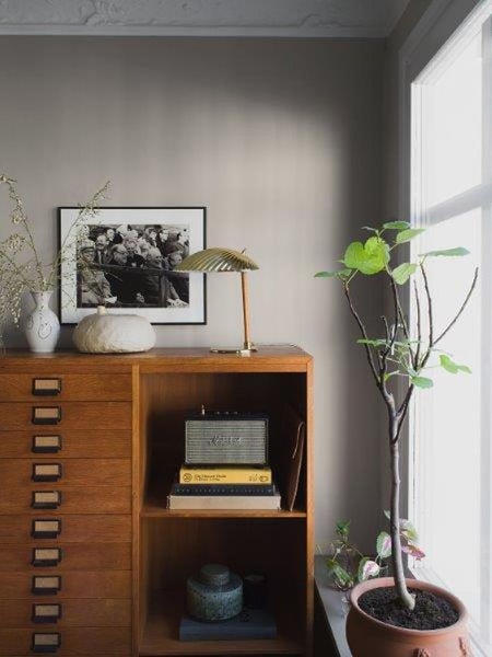 Blauer Raketenwacholder im Garten vor einem Haus.