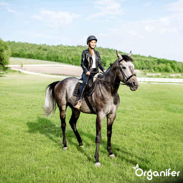 Eine Frau reitet ein Pferd auf einer grünen Wiese.
