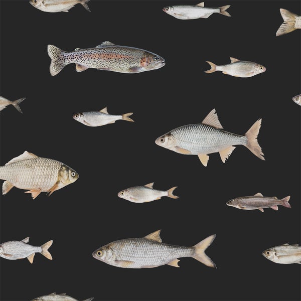 ESTAhome Tapete Fische Schwarz und Grau - 50 x 900 cm - 139365