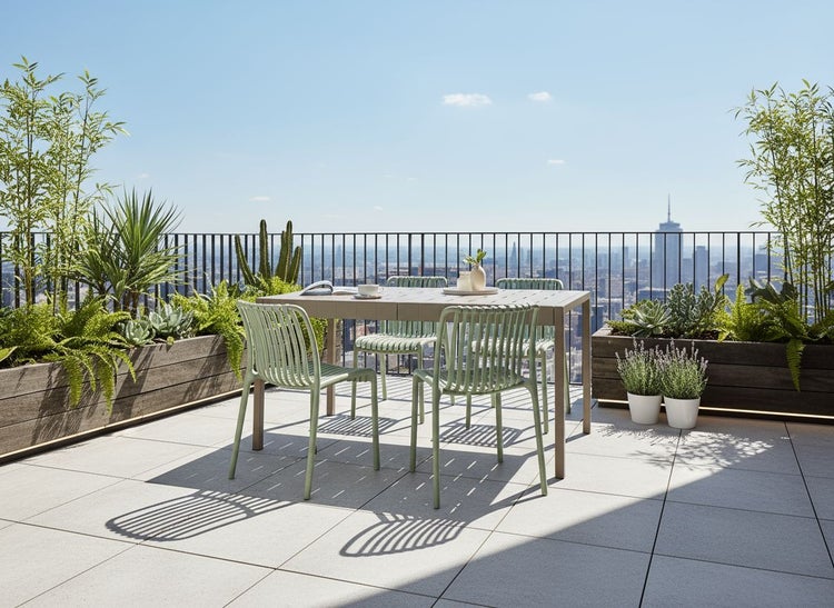 Nahaufnahme einer violetten Storchschnabelblüte im Garten