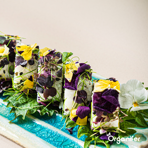 Essbare Blumen Saatgutpaket - 11 Arten - Organifer