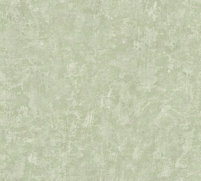 Bambus Pflanze mit grünen Blättern.