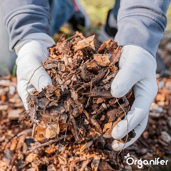 Eine Person hält eine Handvoll Mulch in ihren Händen