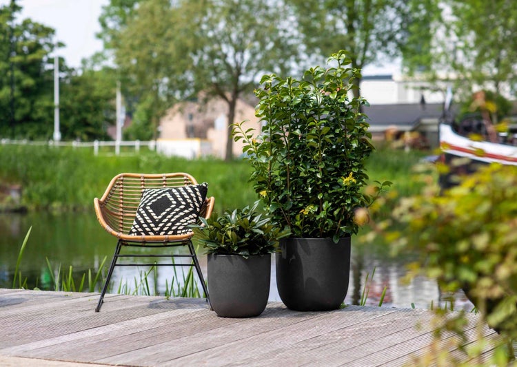 Gartengestaltung auf einer Holzterrasse am Wasser mit Pflanzkübeln, Pflanzen und einem Rattanstuhl mit gemustertem Kissen.