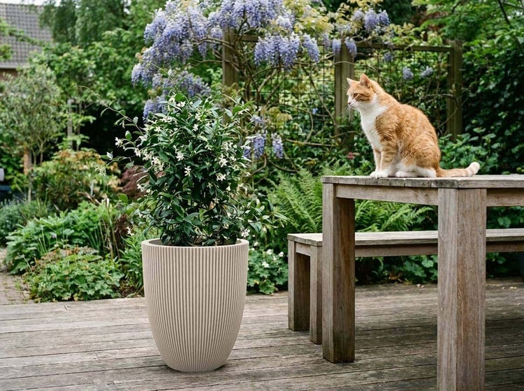 Runder Pflanztopf mit vertikaler Rillenstruktur auf einer Holzterrasse mit einer Katze auf einem Holztisch in einem grünen Garten.