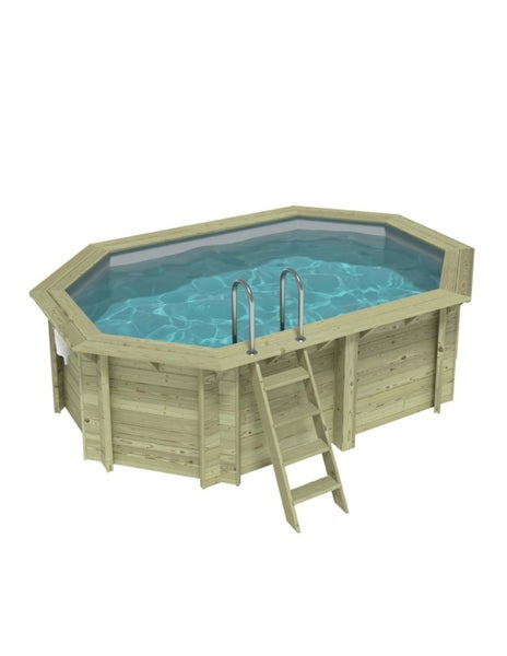 Holzpool mit Leiter und Wasser