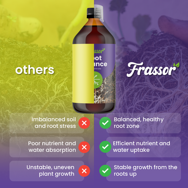 Frassor Root Essence im Vergleich zu anderen Produkten: Vorteile für Wurzelzone, Nährstoffaufnahme und Wachstum. Frassor Logo.